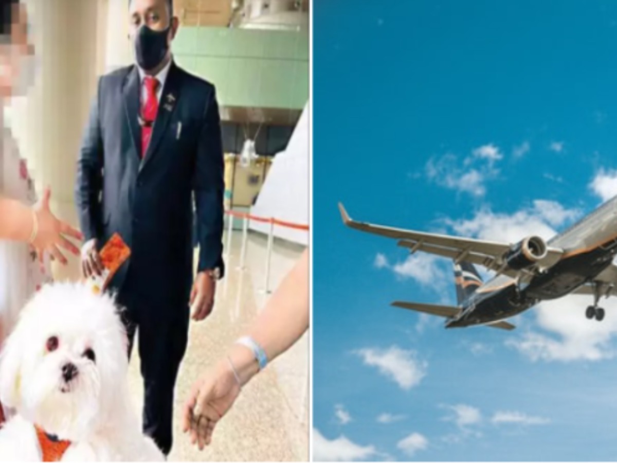 Booking a flight with best sale a dog