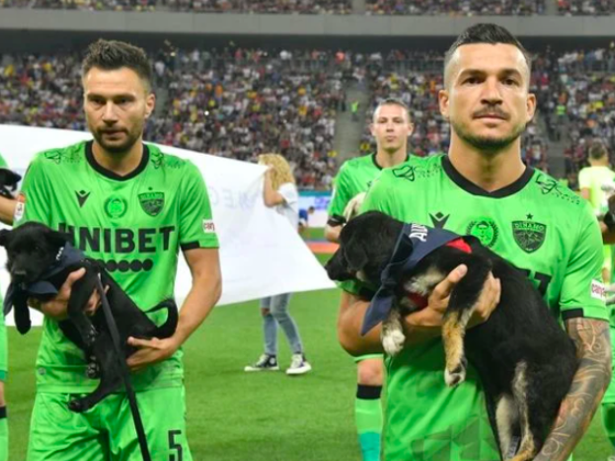 Russian Football Team Won People's Hearts After Walking On Field With  Shelter Dogs To Promote Adoption (14 Pics)