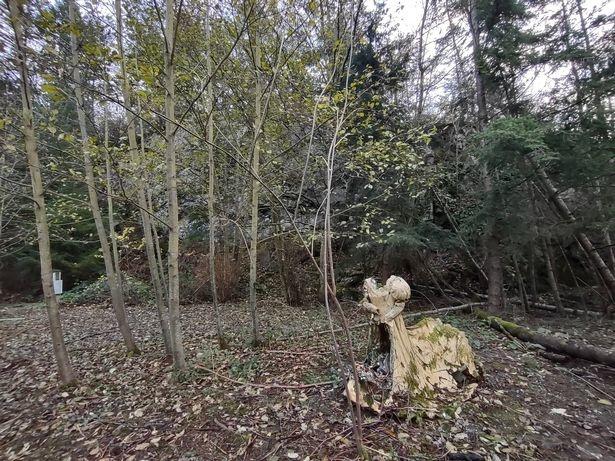 Masedonio found the effigy deep in the woods