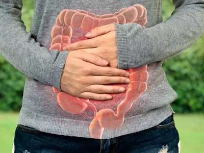 Researchers Develop Bacteria That Could Protect Gut From Antibiotics