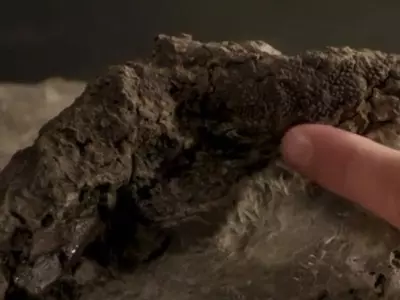Scientists Discover Dinosaur Fossil That Was Killed In The Infamous Asteroid Strike