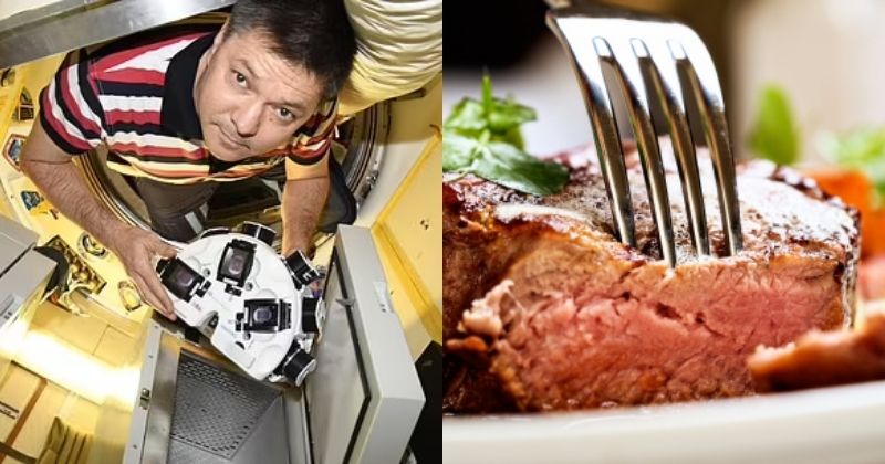 Astronauci uprawiają mięso z laboratorium na Międzynarodowej Stacji Kosmicznej