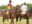 Ram Charan loves riding horses and owns a polo club.