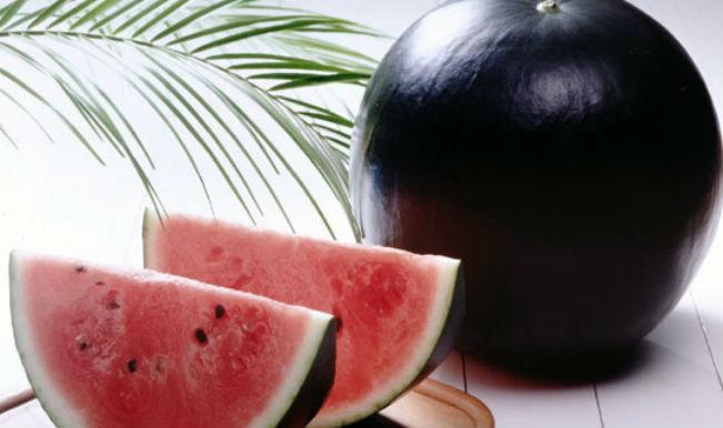 Black Watermelon 