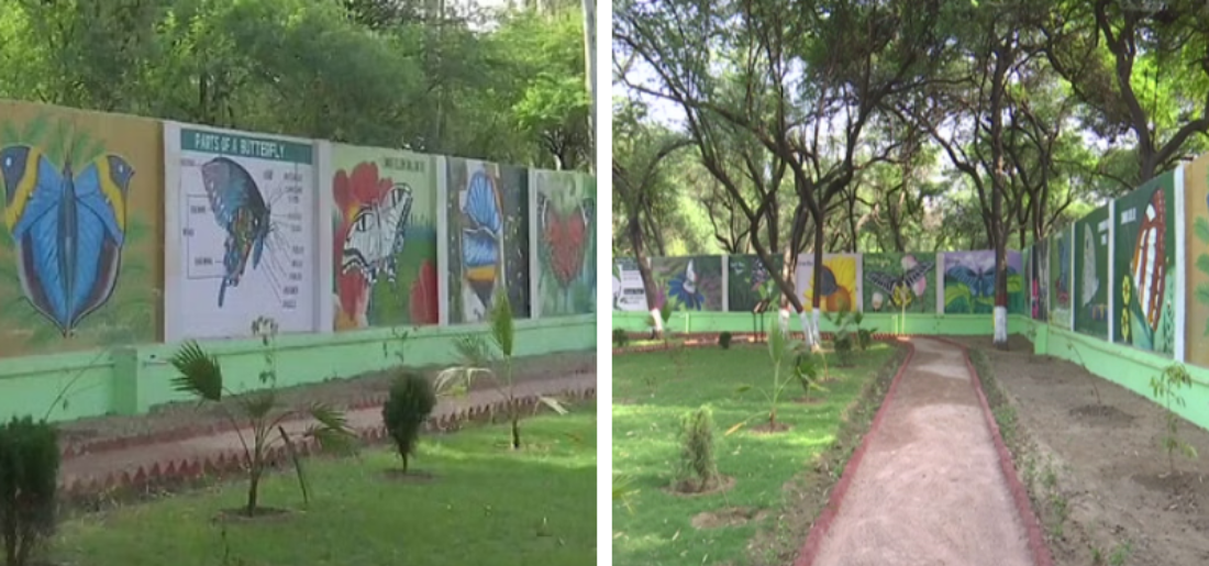 Butterfly Garden Near Singhu Border In Delhi