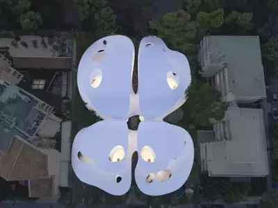 butterfly shaped house