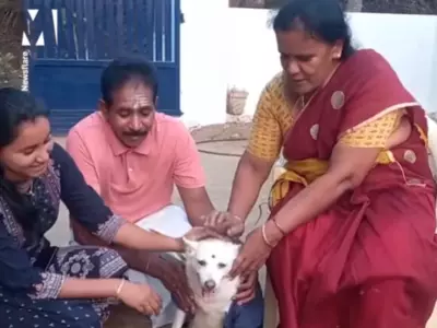 tamil nadu family organises baby shower for pet dog 