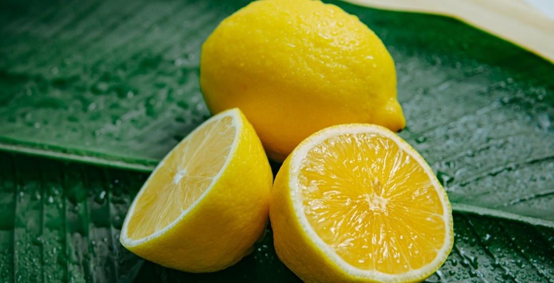 Lemon Lemon