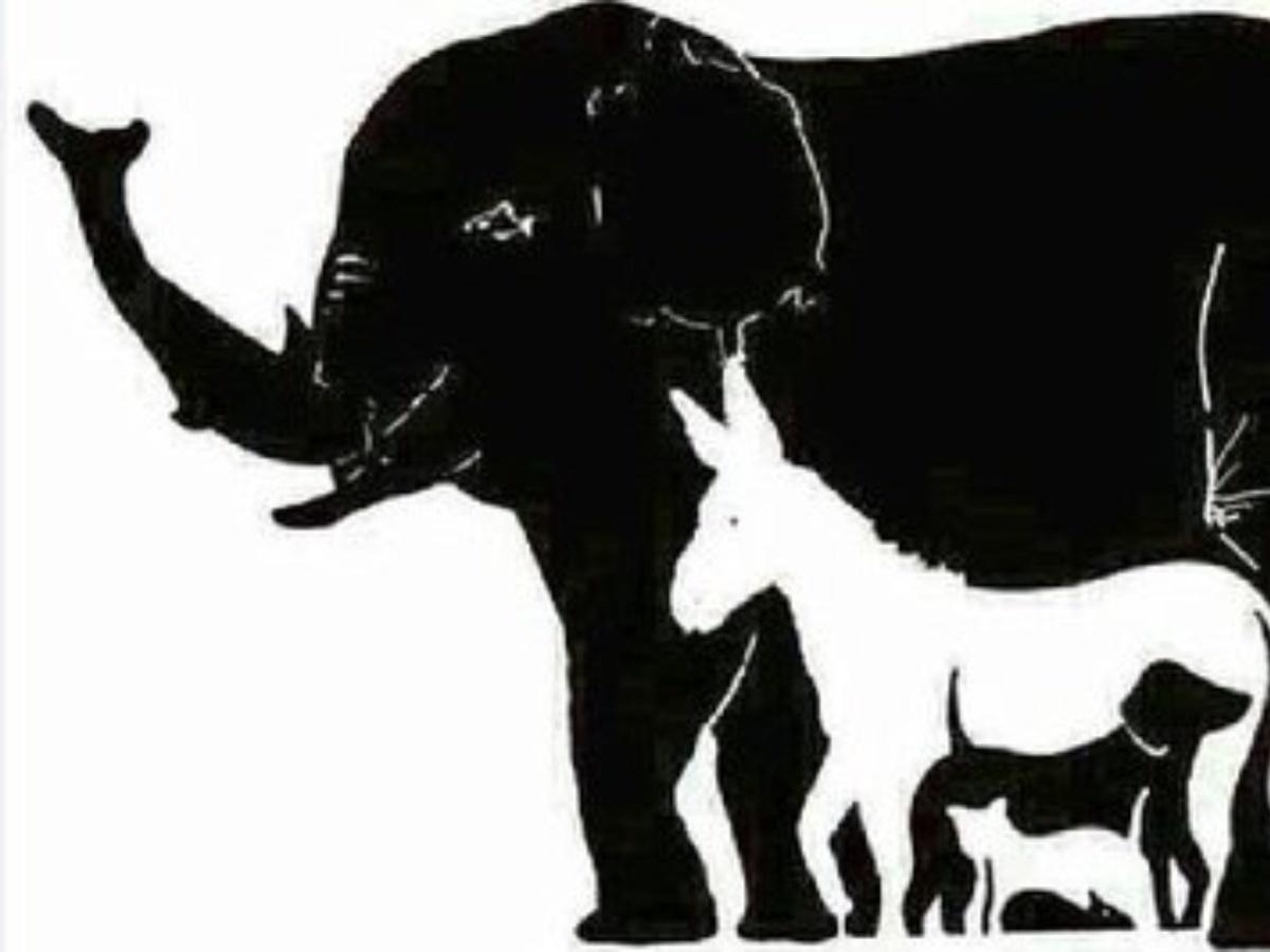 Optical Illusion: How Many Animals Can You See?
