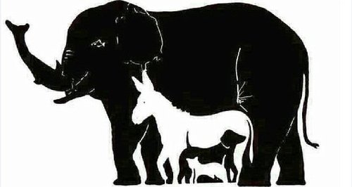 Optical Illusion: How Many Animals Can You See?