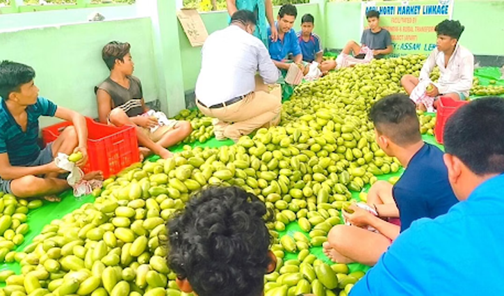 People buying lemons