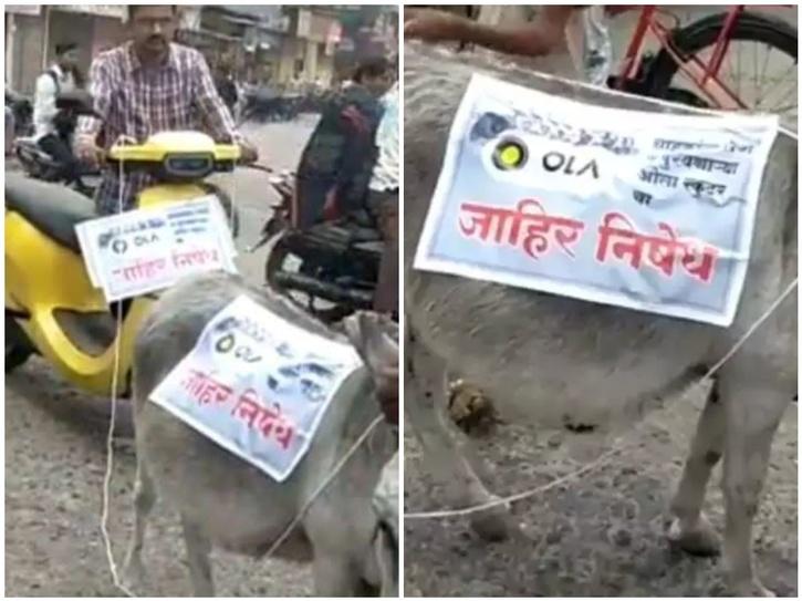 Maharashtra man protests against ola scooter ties scooter with donkey 