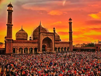 Delhi HC Says Parks Around Jama Masjid Will Become 'Garbage Land' Due To Encroachment