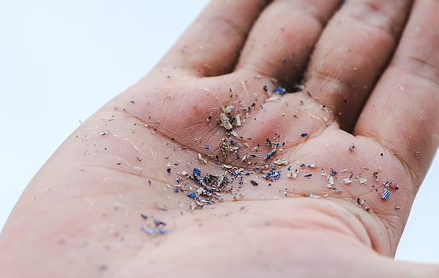 scientists found microplastic in lungs of living people