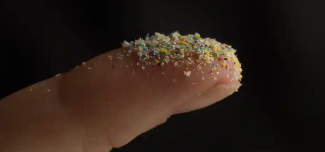 Sponges With A Special Coating Could Absorb Microplastics From Our Oceans