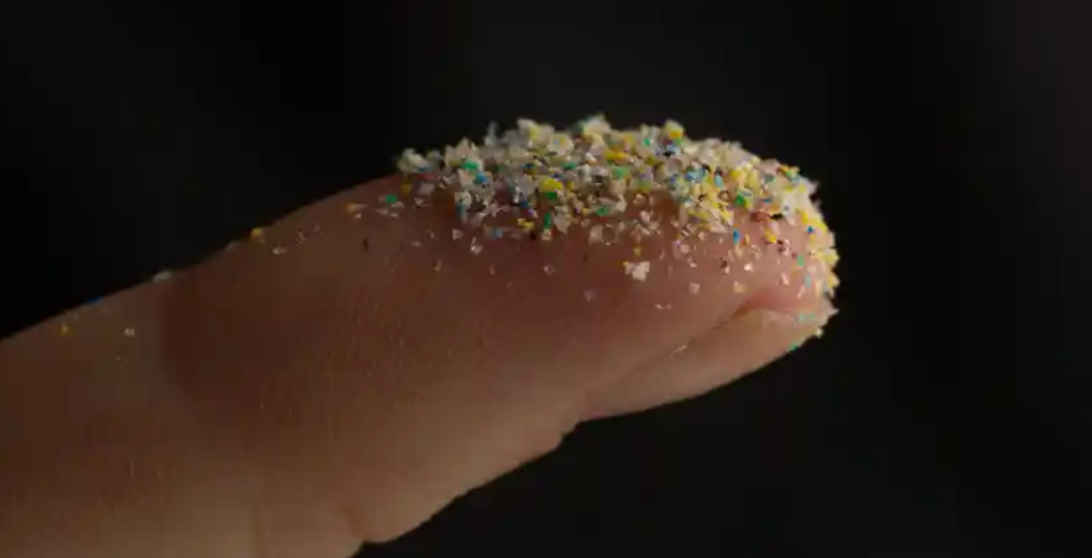 Sponges With A Special Coating Could Absorb Microplastics From Our Oceans