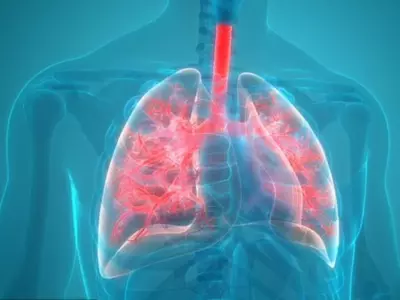 scientists found microplastic in lungs of living people