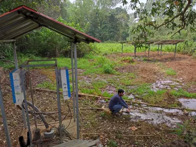 Indian Farmers' Incomes Get A Boost With New Sensor-Based Irrigation Systems