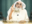 Ayman al-Zawahiri Al Qaeda 