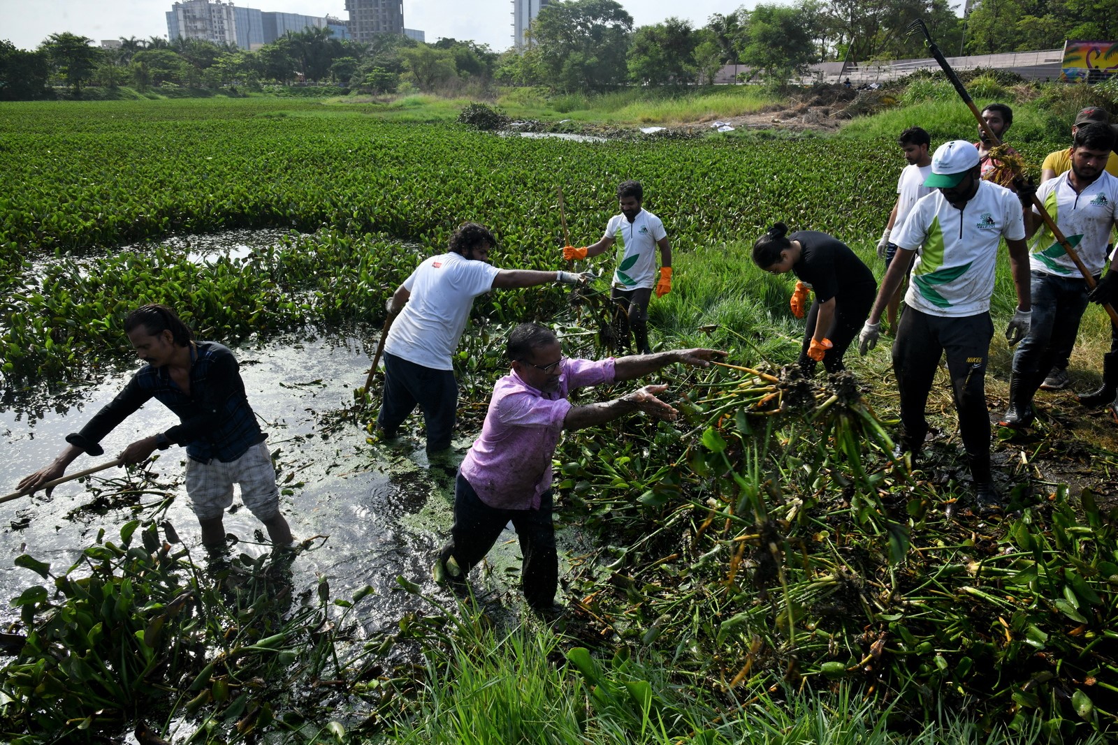 Wetlands Are Crucial For Groundwater Recharge And Control Floods, It Is ...