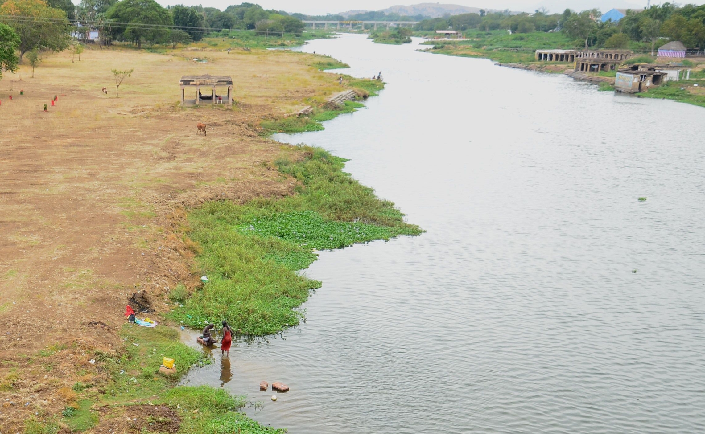 Environmentalist Who Rejuvenated A Vadodara Stream Now Cleaning 120KM