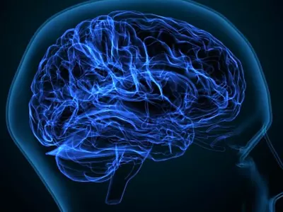 Electric Current To Brains Of Older Adults Improved Their Memory, Study Shows