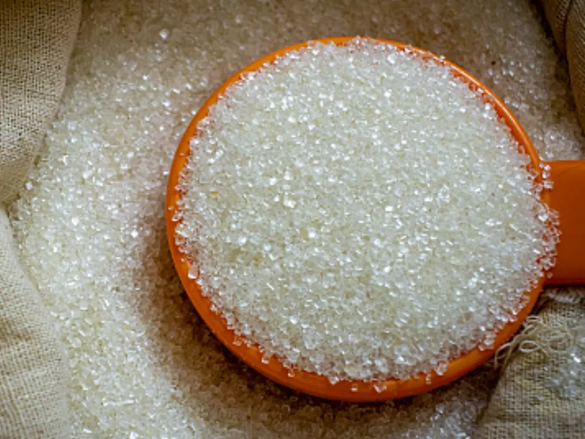 Sugar Affects The Gut Bacteria, Removes Protection Against Obesity, Diabetes