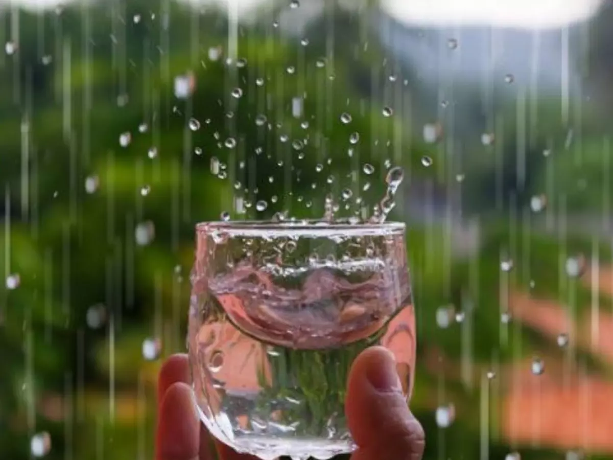 Rainwater Is Not Safe To Drink Anymore Across The Globe. Here's Why