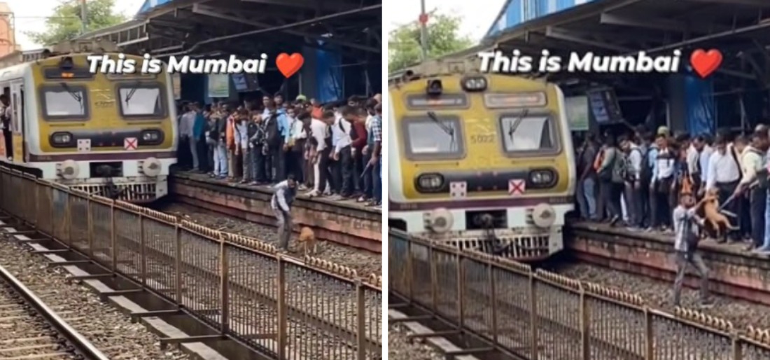 Man Jumps Onto Railways Tracks, Saves Dog From Train