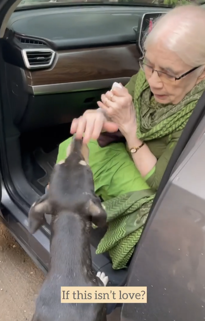 90-year-old grandmother Kanak feeds dogs,