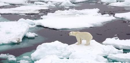 arctic is melting four times faster than the rest of the earth 