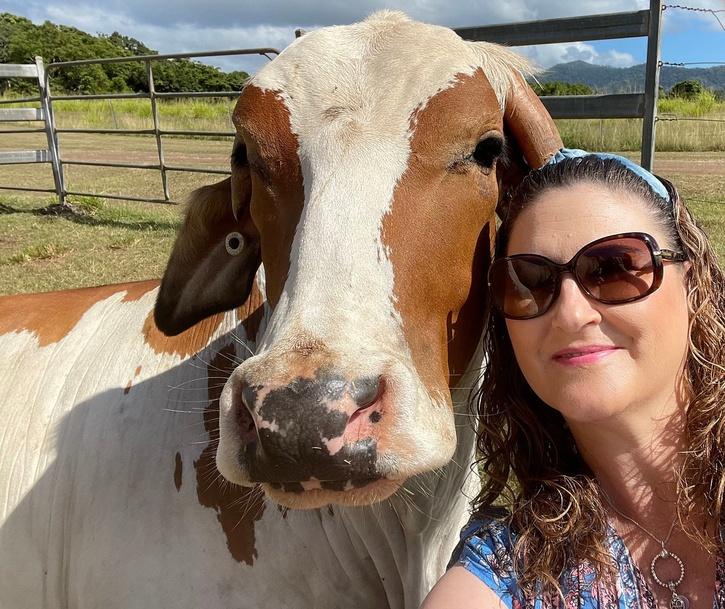 Cow Cuddling Therapy