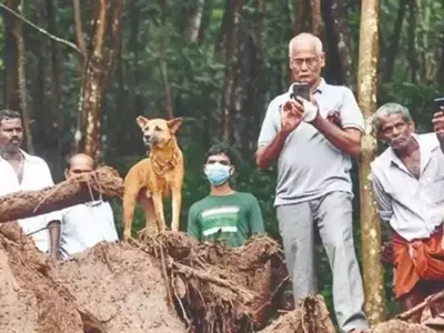 Kerala dog waits for family killed in landslide viral photo