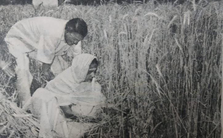 Smt. Lalita Shastri Cutting The Crop