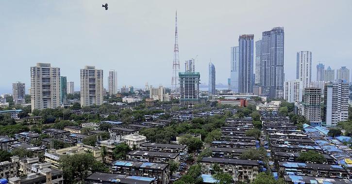 Mumbai Becomes Tree City Of The World