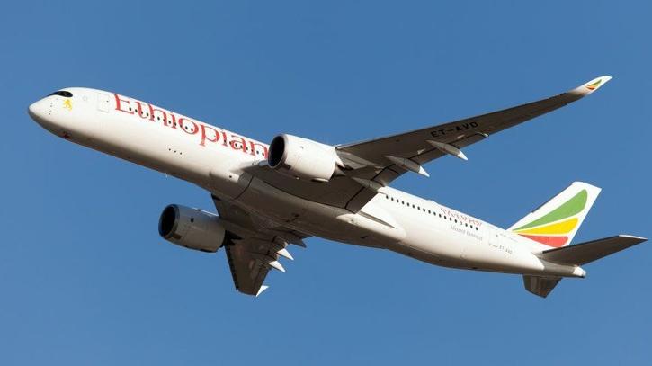 Ethiopian airlines flight miss landing two pilots fell asleep suspended  