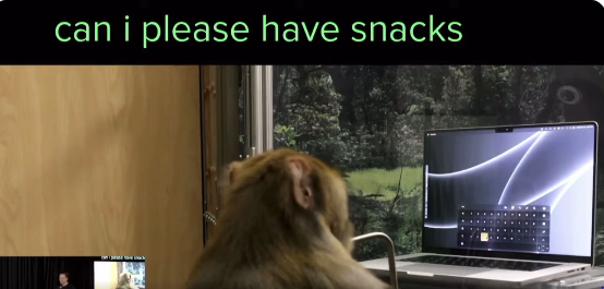 Neuralink Shows Off Monkey Typing Telepathically Using Virtual Keyboard