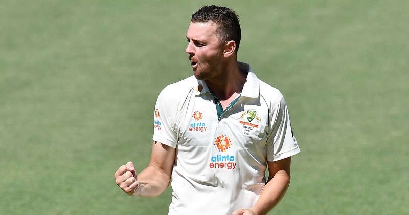 Josh Hazlewood'S Career Defining Low: Australia Vs South Africa T20I - nmlgqlm