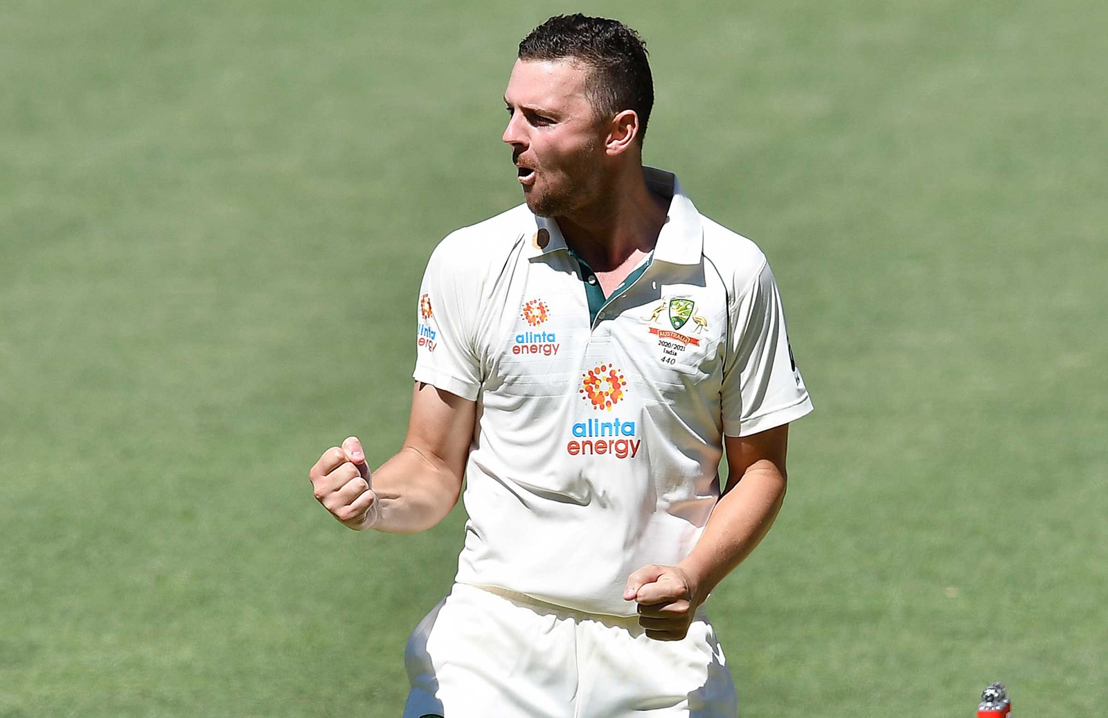 Josh Hazlewood’S Worst Day Ever? You Decide (Australia Vs South Africa T20I) - qu8oxgc
