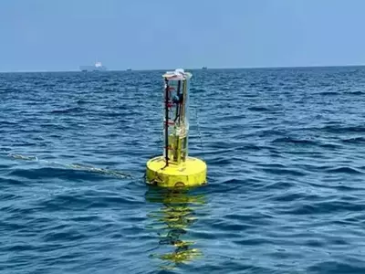 IIT Madras Researchers Develop Device That Generates Electricity From Ocean Waves