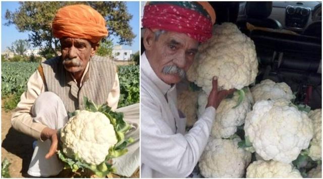 JAGDISH PRASHAD PARIKH 