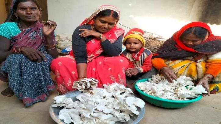 आत्मनिर्भर महिलाएं: कभी बच्चों को पढ़ाने के लिए नहीं थे पैसे, घर के अंदर ही शुरू की Mushroom Ki Kheti, हो रही कमाई