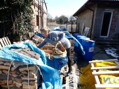 stockpiling firewood in Germany