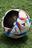 foot ball fifa world cup sensor