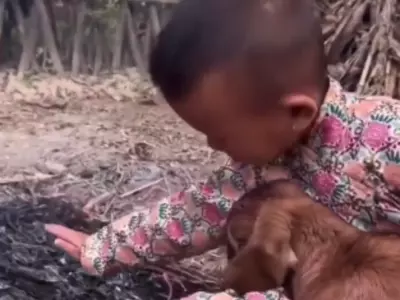 Child Helps Freezing Goat In Viral Video