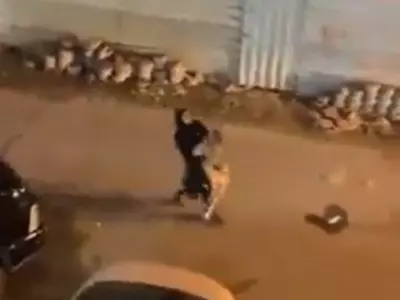Video Of Woman Carrying Lion Goes Viral