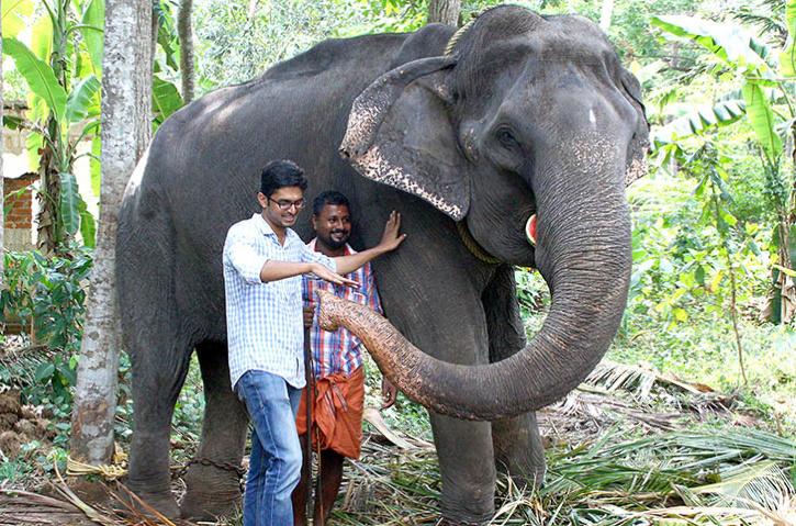 Dakshayani, un elefant