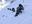 arunachal-pradesh-avalanche-62094c45a8ba7