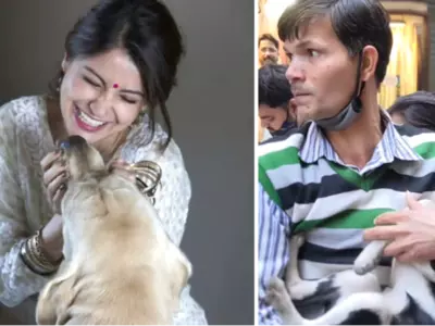 Anushka Sharma applauds Delhi man who was called Pagal by a man for protecting an injured stray dog.