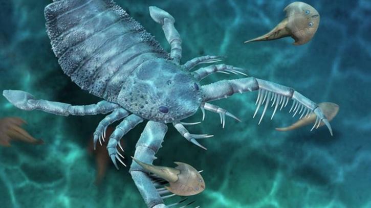 Sea Scorpion 